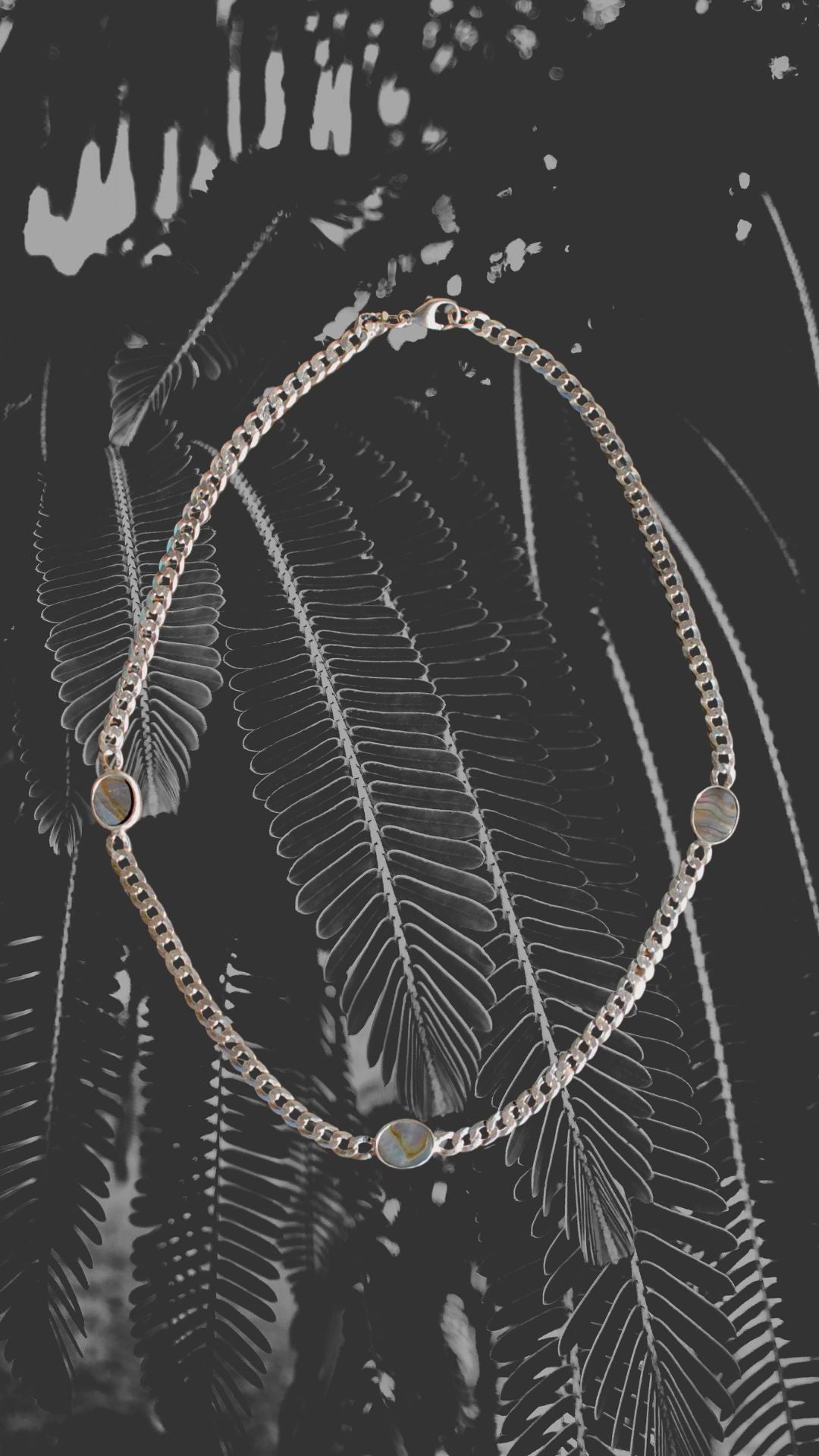 Abalone Curb Chain Necklace